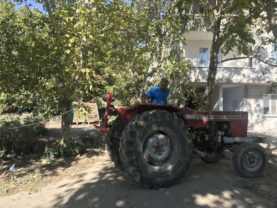Adilcevaz&rsquo;da ceviz hasadı başladı