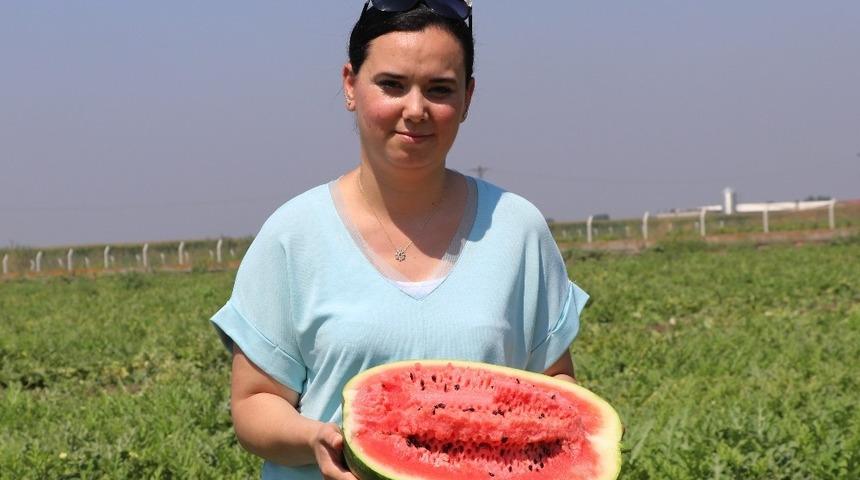 Adana&rsquo;da zam şampiyonu karpuz