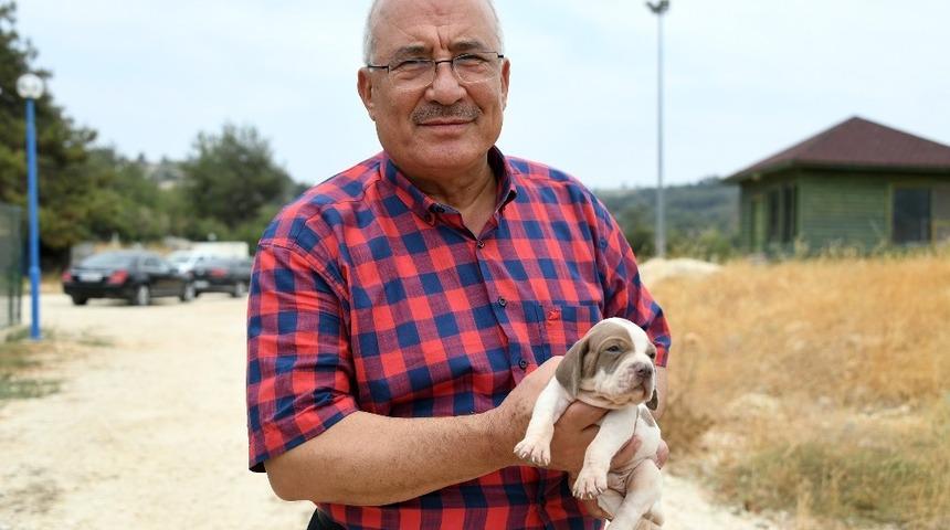 Kocamaz: "Hayvanları seven t&uuml;m d&uuml;nyayı sever"