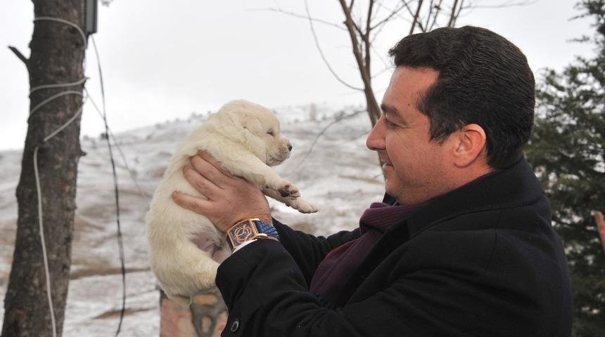 Başkan Bakıcı’nın 4 Ekim Hayvanları Koruma Günü mesajı