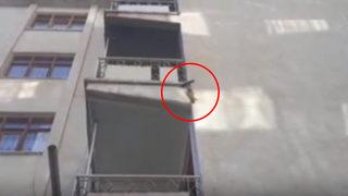 Yolunu şaşıran sincap 5 katlı apartmana tırmandı