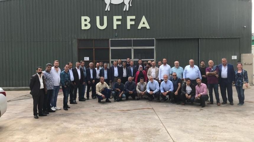 B&ouml;lgenin yetiştiricilerinden manda &ccedil;iftliğine ziyaret