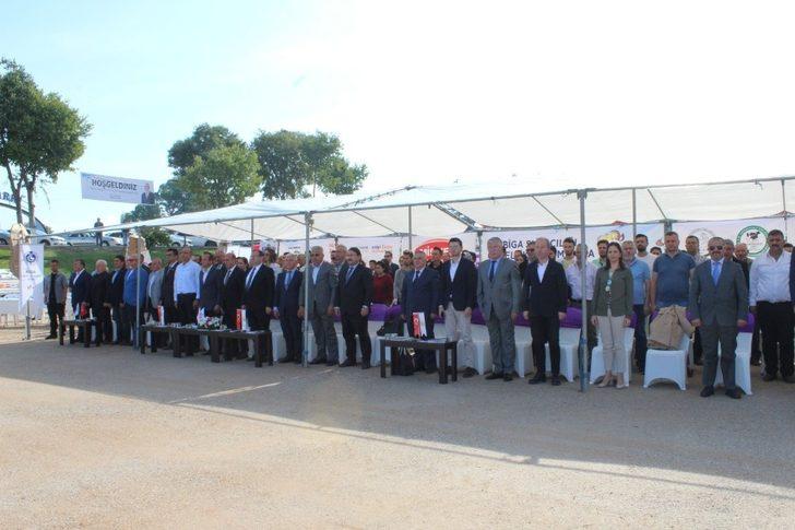 Biga 5. Sığır Güzellik Yarışması yapıldı G4