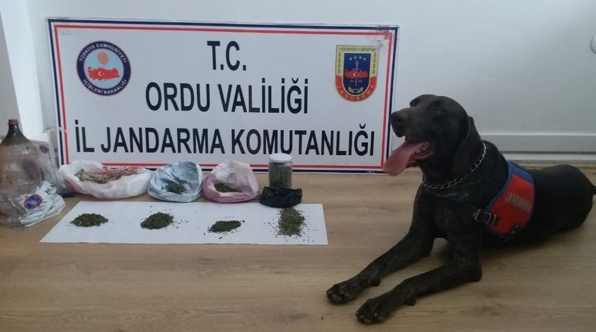 Ordu&rsquo;da uyuşturucu operasyonu