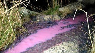 Tamamen pembe renge büründü! Ekipler harekete geçti