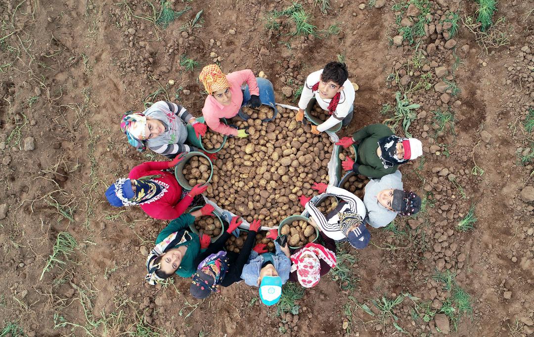 Y&uuml;zleri g&uuml;ld&uuml;ren haber! 170 bin ton bekleniyor