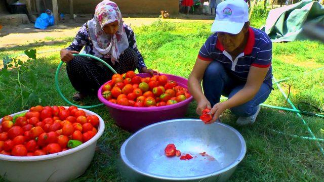 Köyde imece usulü konserve yapımı