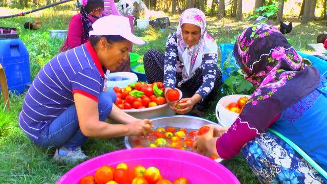 Köyde imece usulü konserve yapımı