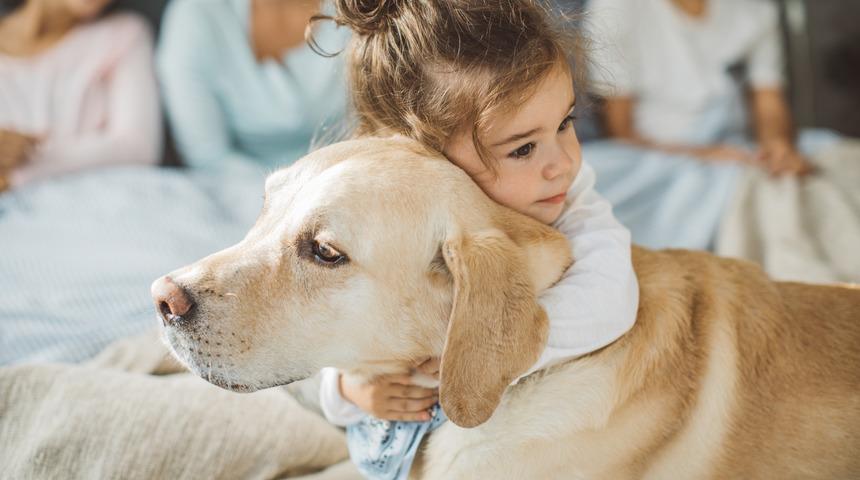 Sokak hayvanlarının hayatını kurtarmaya yardımcı olacak kolay &ouml;neriler