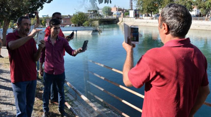 'Pes' dedirten görüntü! Cesedi sosyal medyadan paylaşmak için yarıştılar