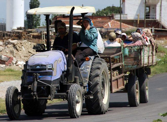 En fazla traktör ve pulluk Manisa’da