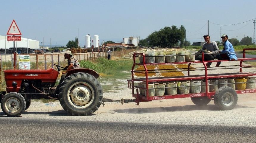 En fazla traktör ve pulluk Manisa’da