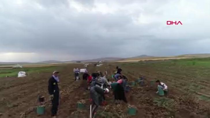 Yüzleri güldüren haber! 170 bin ton bekleniyor G5