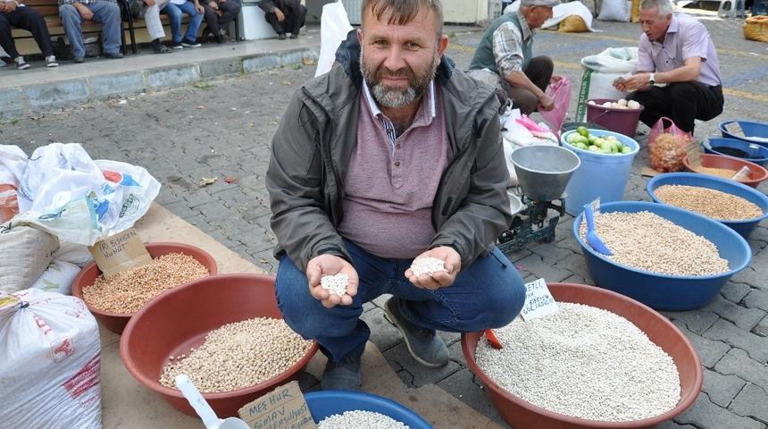 Simav Göl Fasulyesi zamma direniyor