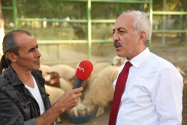 Başkan Gül: Hayvansız bir dünya düşünemiyorum