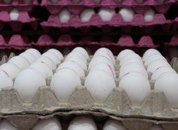 Yumurta Üreticileri Derneği Başkanı Yıldırım: Ambalaj stoklarımız 1 ay yetecek düzeyde