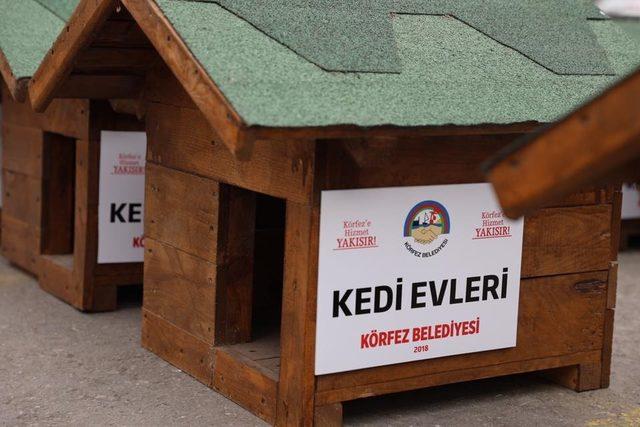 Körfez’de sokak hayvanları unutulmadı