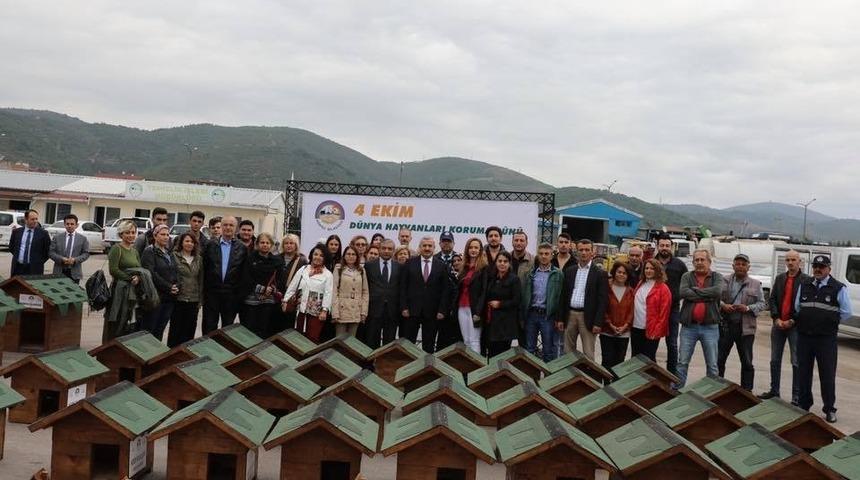 K&ouml;rfez&rsquo;de sokak hayvanları unutulmadı