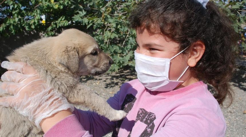 &Ouml;ğrenciler yavru k&ouml;pekleri doyasıya sevdi