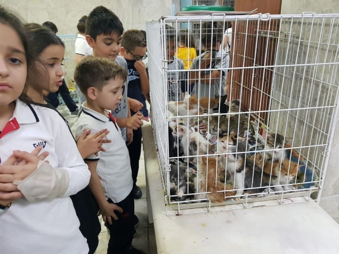 &Ouml;ğrenciler biriktirdikleri har&ccedil;lıkları mama alınması i&ccedil;in hayvan severlere teslim etti