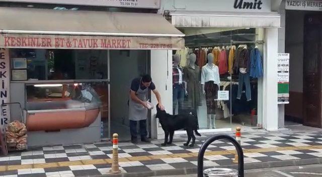 Her gün kapısının önüne gelen köpek için kemik bırakıyor