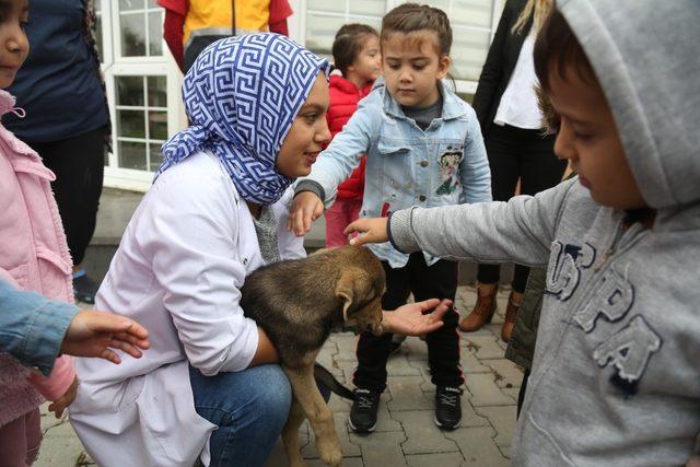 Minik hayvanseverler,  hayvan dostlarıyla buluştu