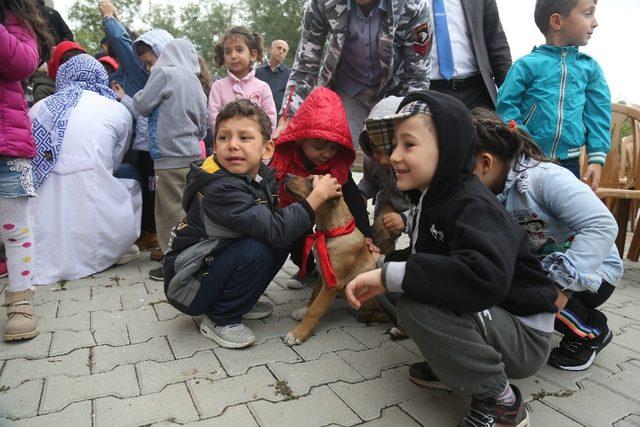 Minik hayvanseverler,  hayvan dostlarıyla buluştu