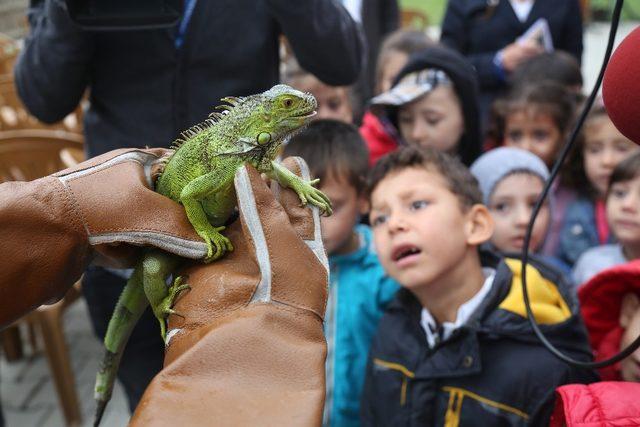 Minik hayvanseverler,  hayvan dostlarıyla buluştu