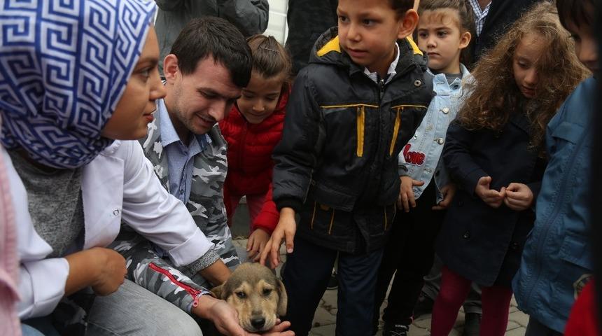 Minik hayvanseverler,  hayvan dostlarıyla buluştu