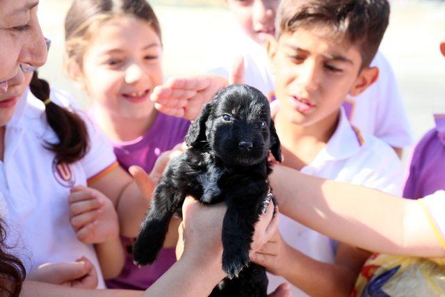 Öğrenciler hayvan bakımevini ziyaret etti