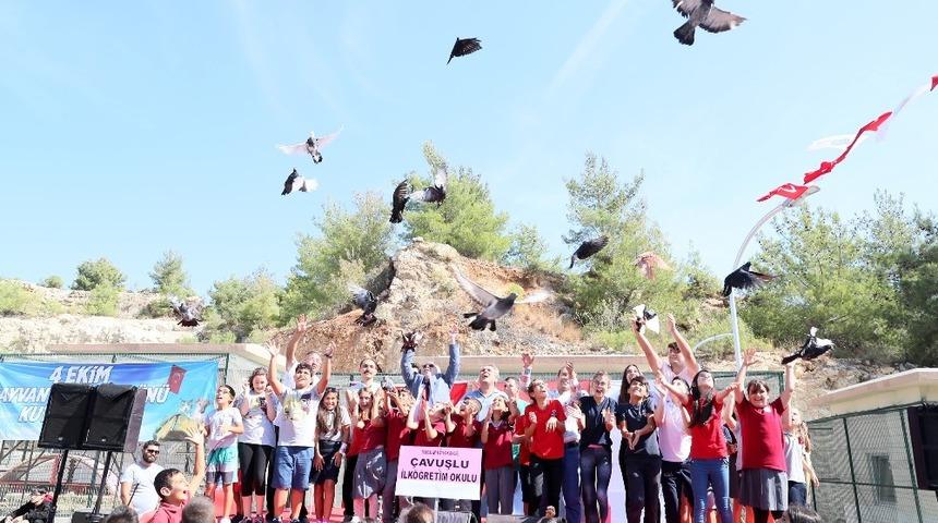 &Ouml;ğrenciler hayvan bakımevini ziyaret etti