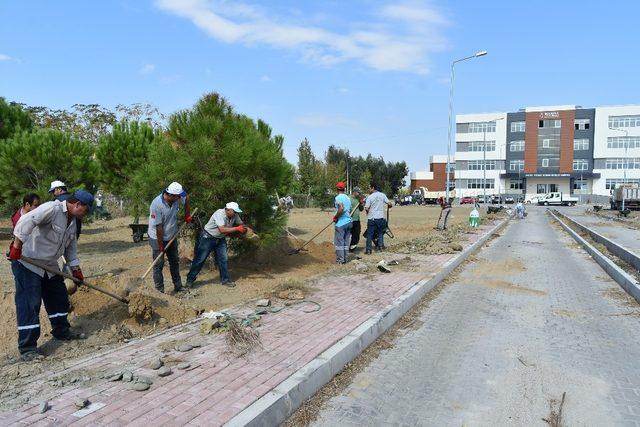 İktisat Fakültesi’nde çevre düzenlemesi