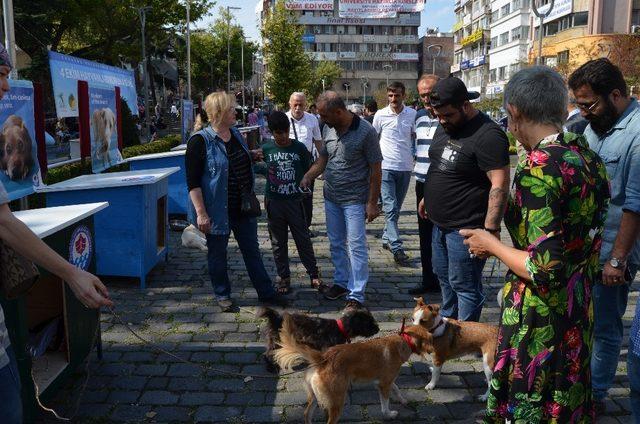 Trabzon’da 4 Ekim Dünya Hayvanları Koruma Günü etkinliği düzenlendi