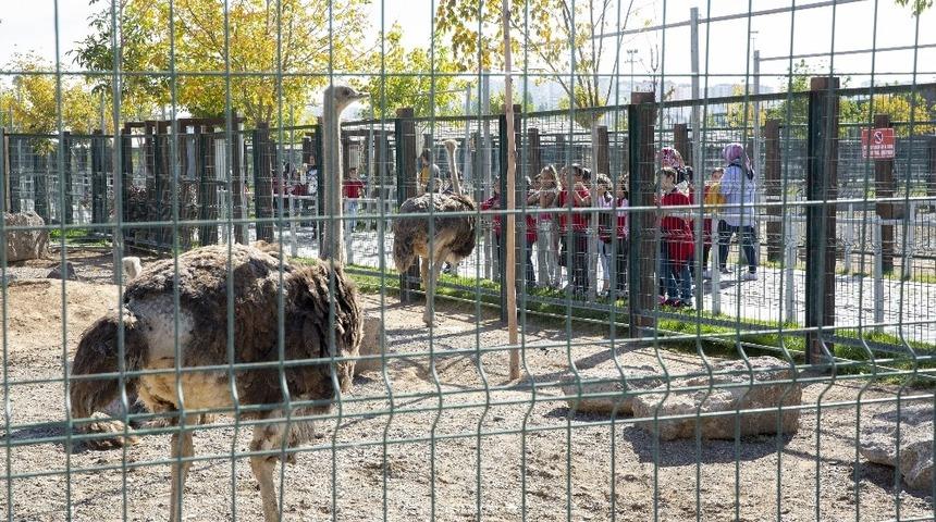 Hayvanat bah&ccedil;esinde &ouml;zel g&uuml;n
