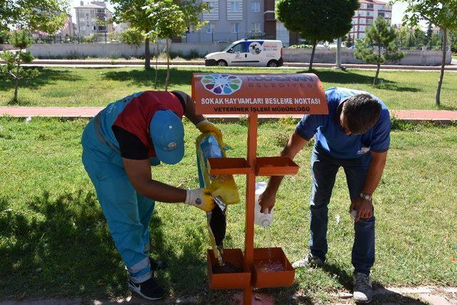 Kocasinan’da küçük dostlar için her gün ’4 Ekim’