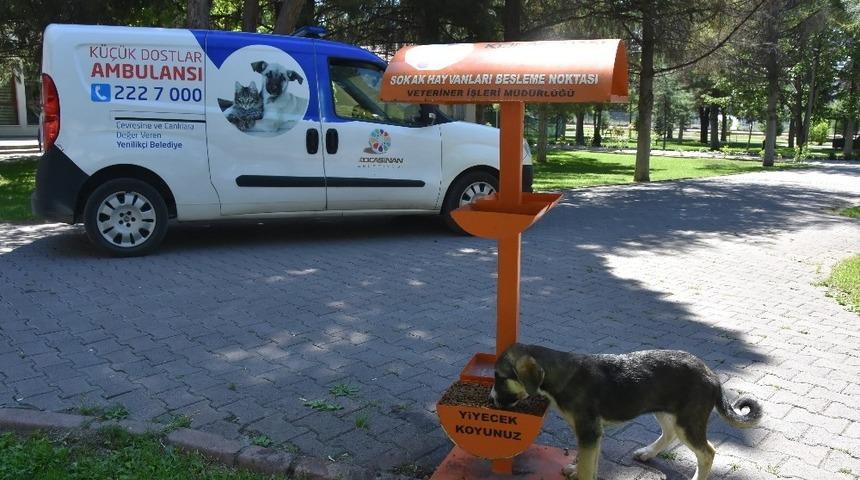 Kocasinan&rsquo;da k&uuml;&ccedil;&uuml;k dostlar i&ccedil;in her g&uuml;n &rsquo;4 Ekim&rsquo;