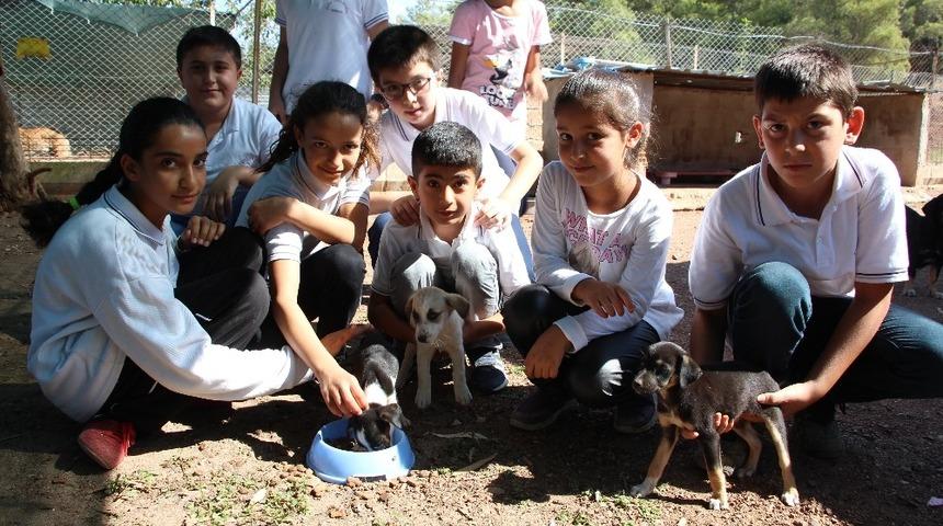 Minik öğrenciler barınaktaki hayvanları besledi