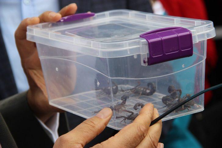 Eskişehir’de ilk ilaç fabrikası açıldı G2