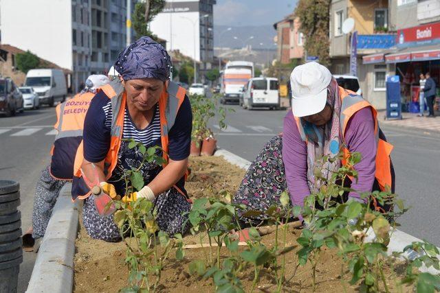 Refüjler renklendiriliyor