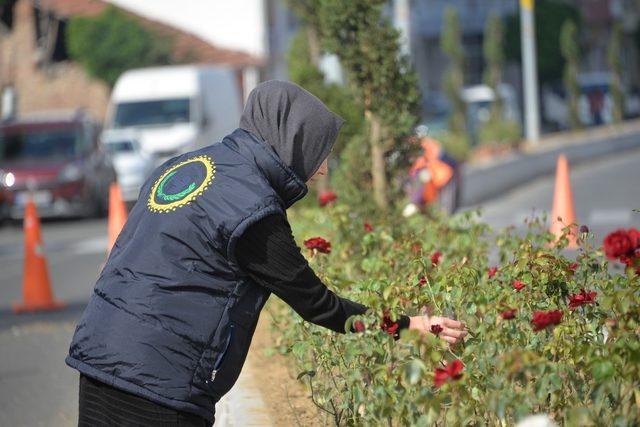 Refüjler renklendiriliyor