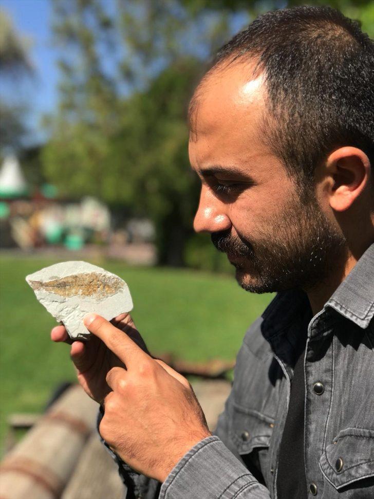 Muğla'da bulundu! 14 milyon yaşında G4