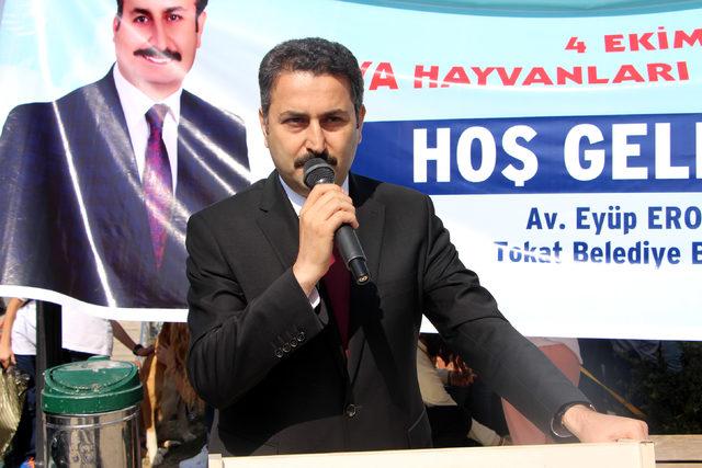 Tokat'ta sokak hayvanları için kermes