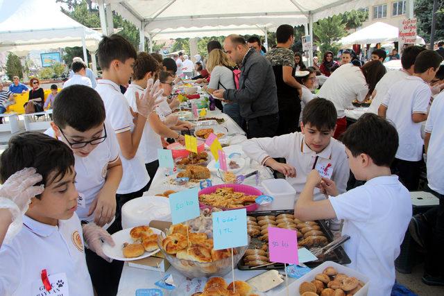 Tokat'ta sokak hayvanları için kermes