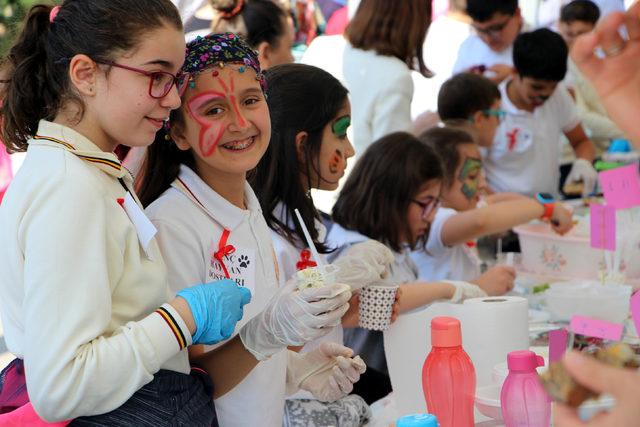 Tokat'ta sokak hayvanları için kermes