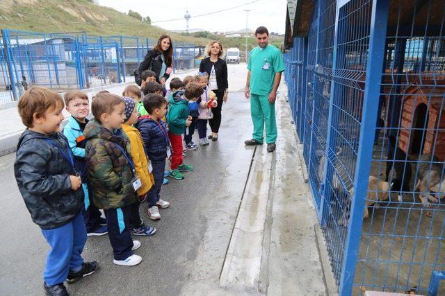 Çocuklar Hayvanları Koruma Günü’nde sahipsiz hayvanları unutmadı