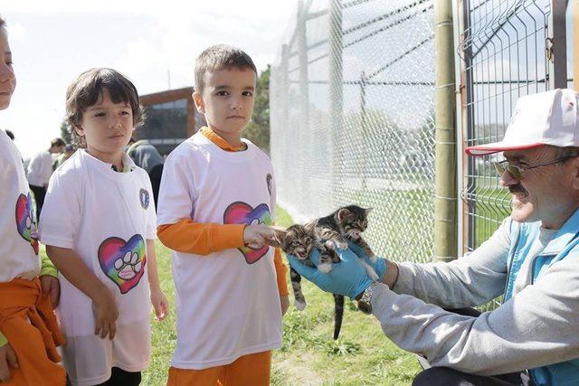 Kütahya Belediyesi’nin Sokak Hayvanları Bakımevi ve Rehabilitasyon Merkezi’ni gezdiler