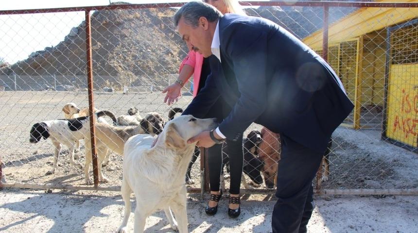 Seydişehir&rsquo;de hayvan barınağı hizmette