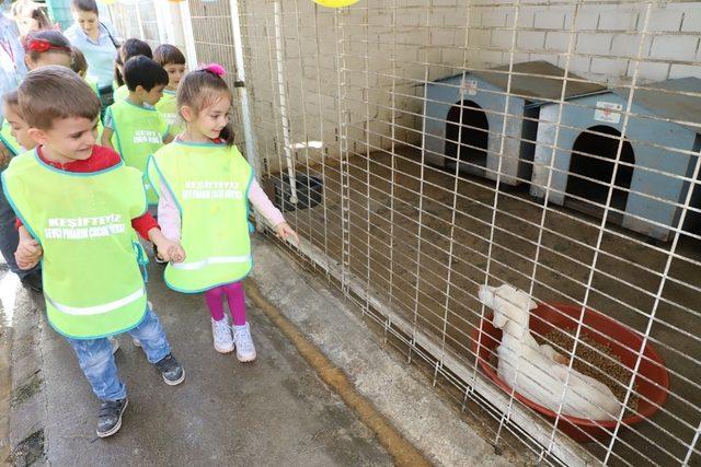 Çocuklar sevimli dostlarla dolu dolu bir gün geçirdi