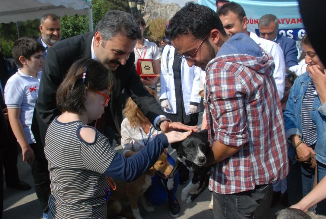 Kedinin asılı olarak bulunması olayına tepkiler