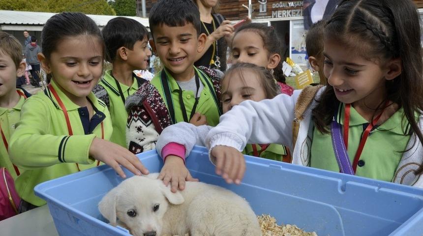 Hayvanları Koruma G&uuml;n&uuml; etkinliğine 2 bin 100 &ouml;ğrenci katıldı